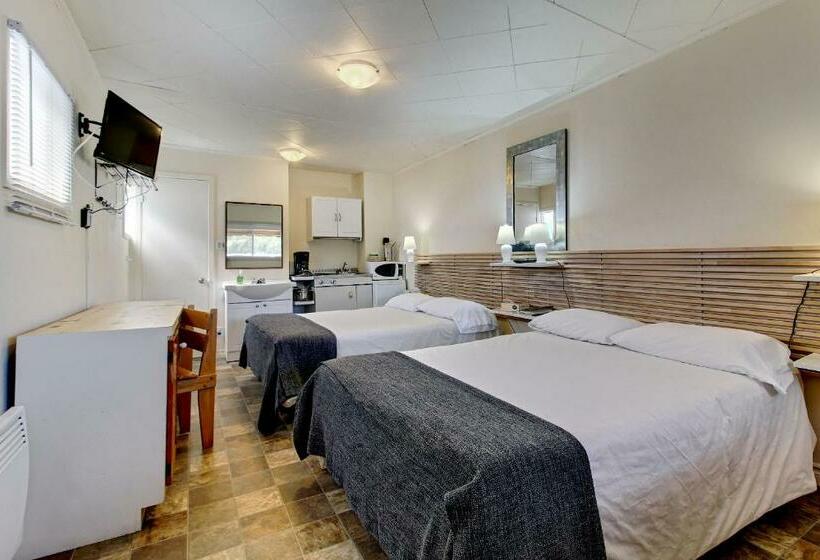 带2个双人床的标准工作室, Motel Appartements Le Saint Patrick