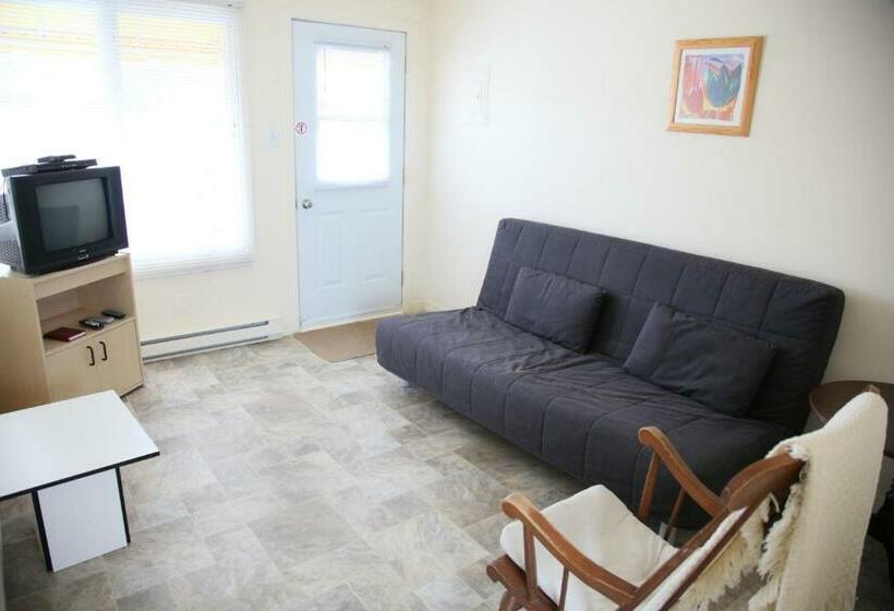 带1个卧室的公寓, Motel Appartements Le Saint Patrick