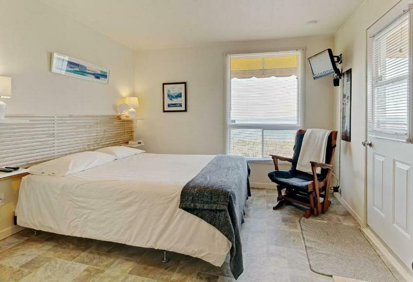 标准工作室, Motel Appartements Le Saint Patrick