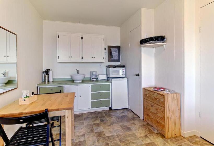스탠다드 스튜디오, Motel Appartements Le Saint Patrick