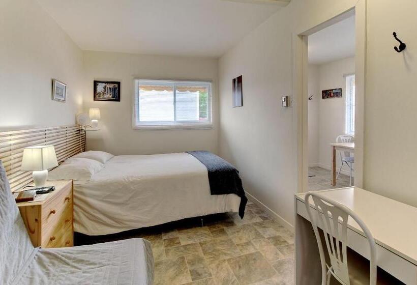 标准间, Motel Appartements Le Saint Patrick