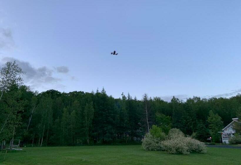 스탠다드 룸, Motel & Chalet Waterloo