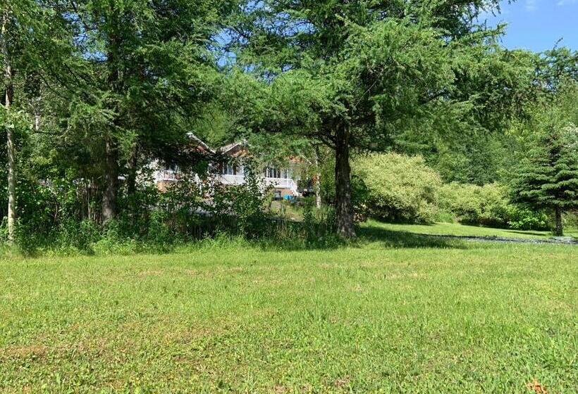 수피리어 룸, Motel & Chalet Waterloo