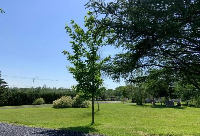 スーペリアールーム, Motel & Chalet Waterloo