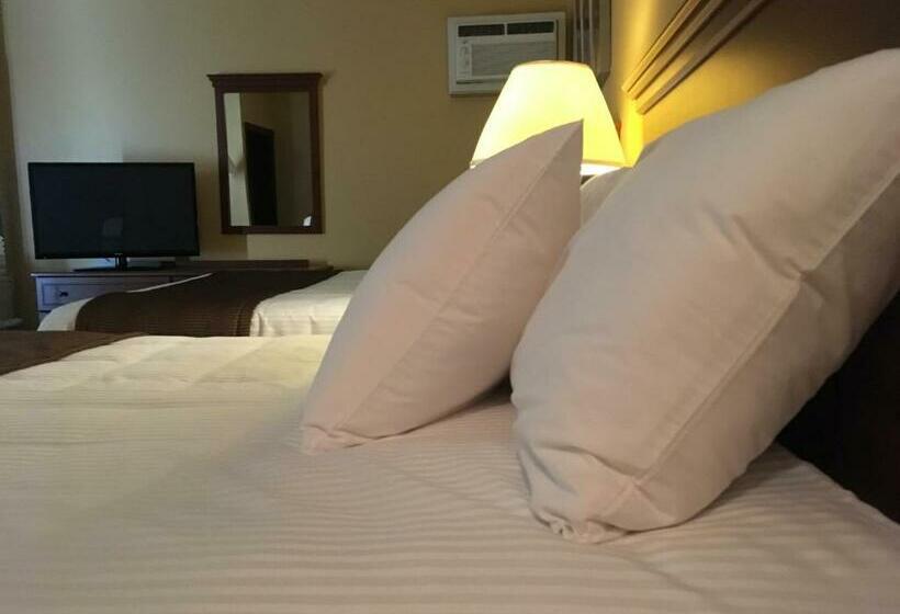 スタンダードルーム, Motel Cofotel