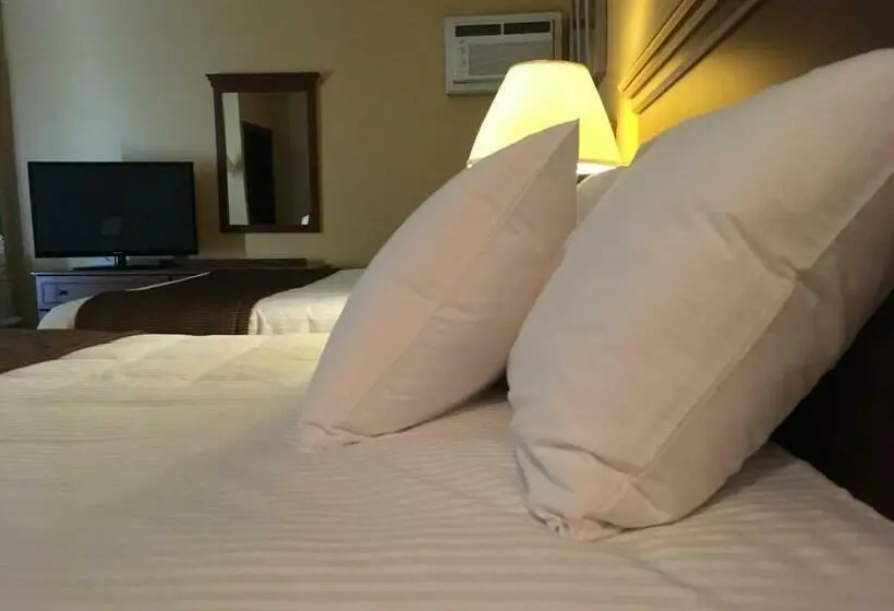 スタンダードルーム, Motel Cofotel