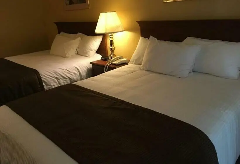 スタンダードルーム, Motel Cofotel