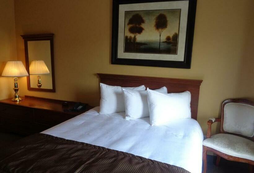 スタンダードルーム, Motel Cofotel