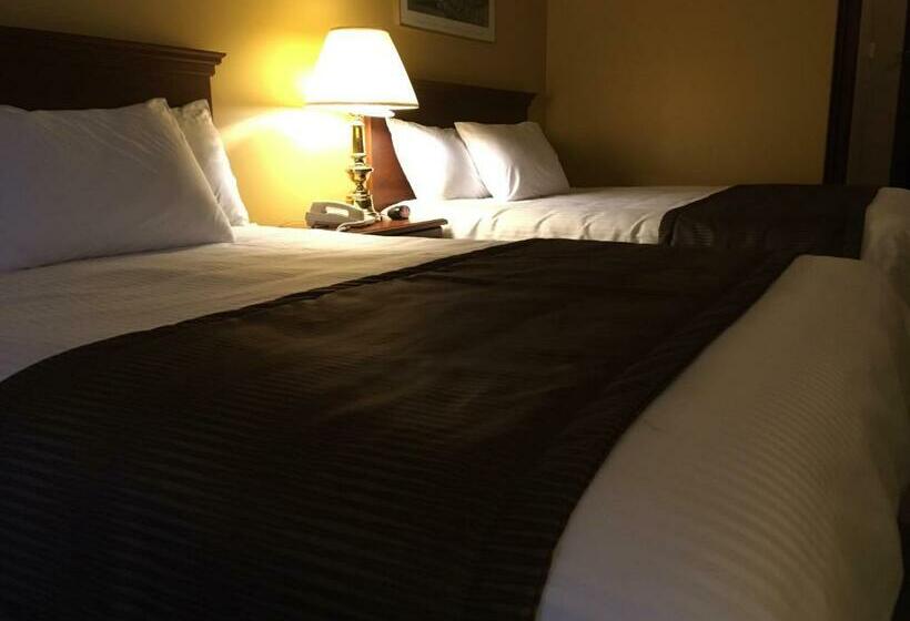 スーペリアールーム, Motel Cofotel