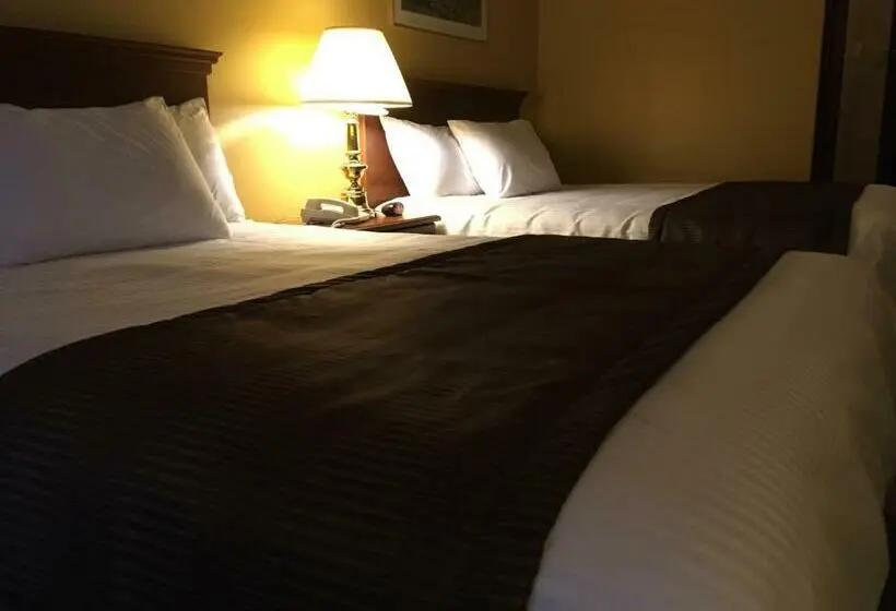 スーペリアールーム, Motel Cofotel