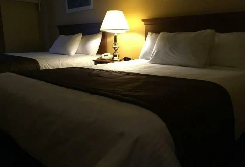 スーペリアールーム, Motel Cofotel
