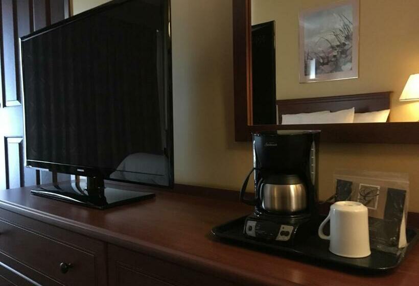 スーペリアールーム, Motel Cofotel