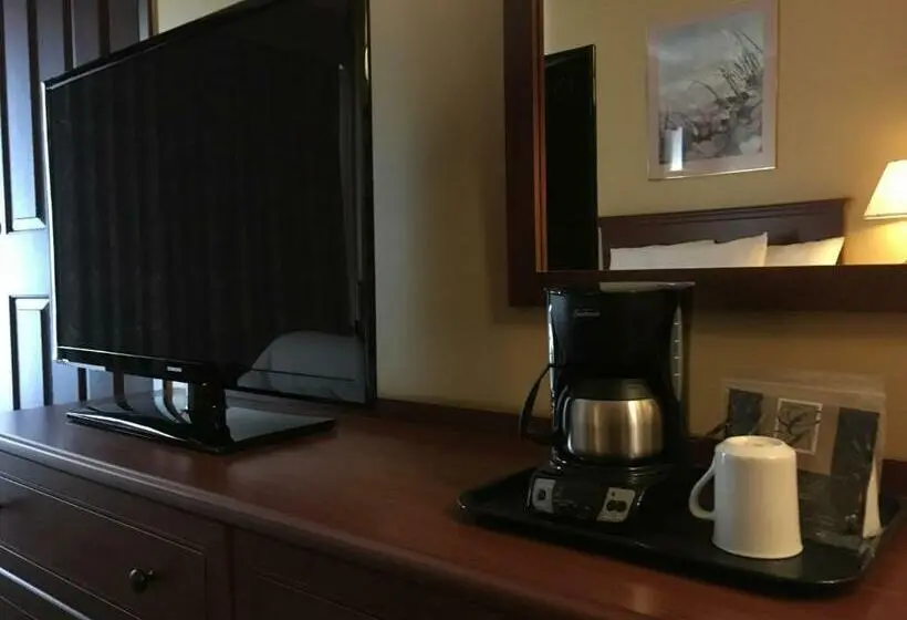 スーペリアールーム, Motel Cofotel