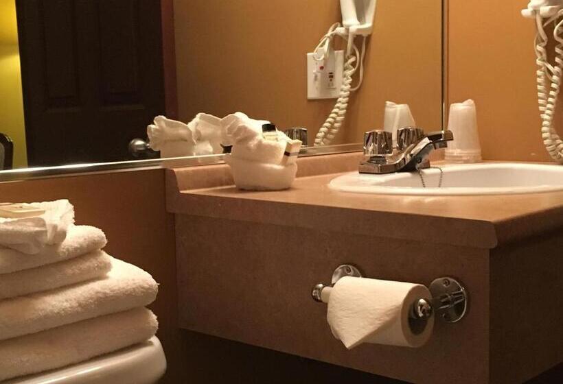 スーペリアールーム, Motel Cofotel