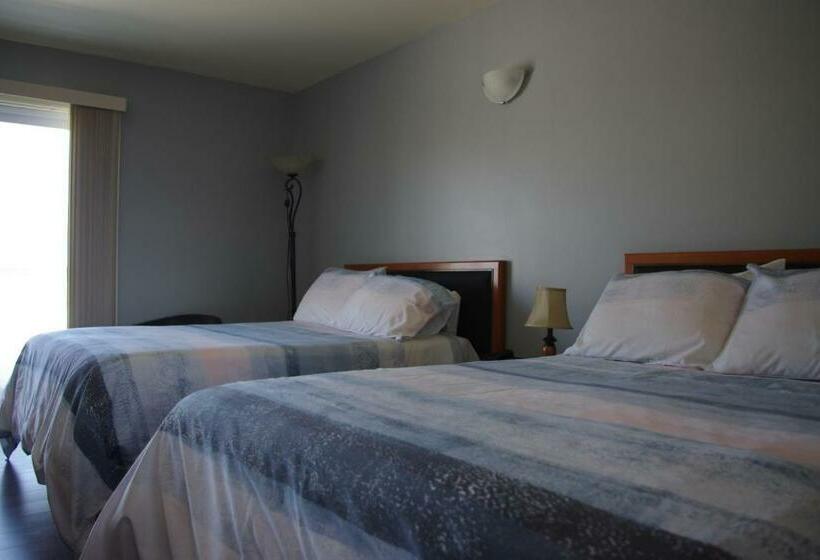 带2个双人床的标准工作室, Motel Des Mariniers