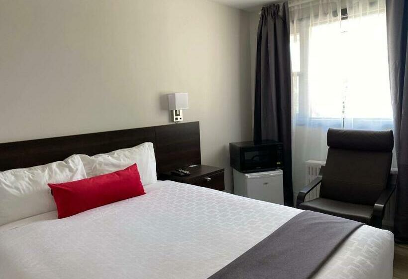 غرفة ديلوكس, Motel Levis