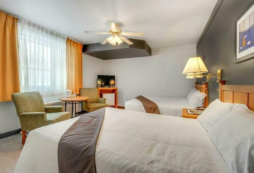 غرفه قياسيه سريرين مزدوجين, Motel Levis