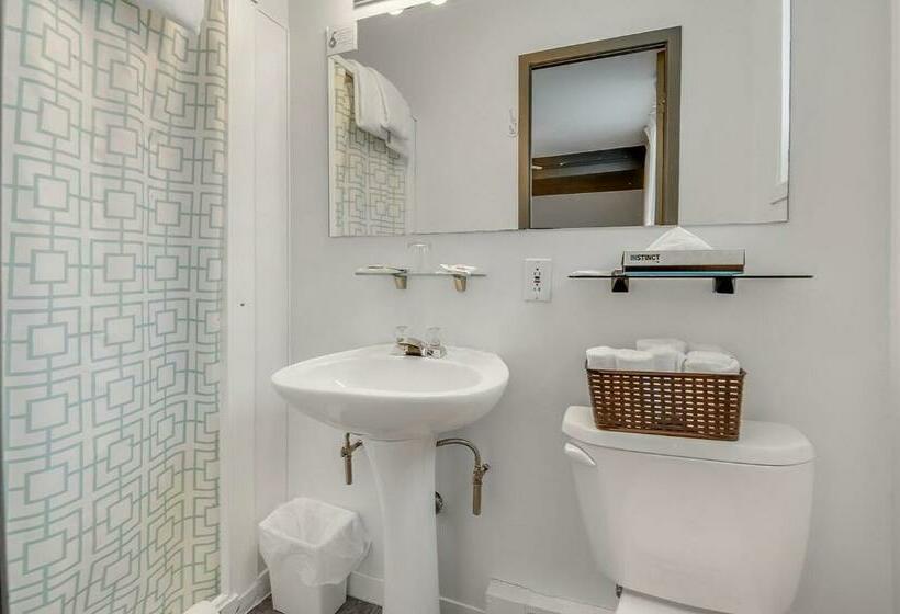 غرفه قياسيه سريرين مزدوجين, Motel Levis