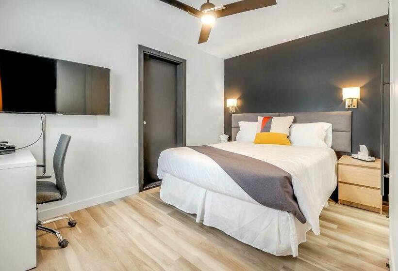 غرفة ديلوكس, Motel Levis