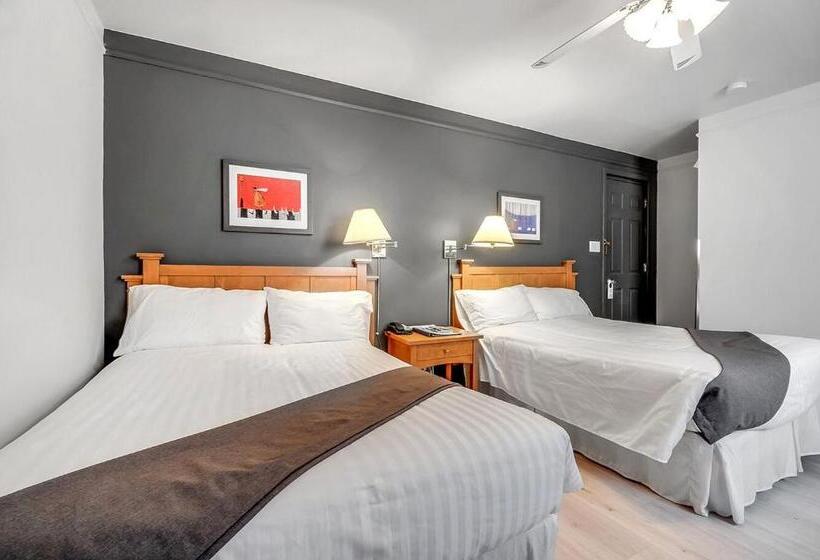 غرفه قياسيه سريرين مزدوجين, Motel Levis