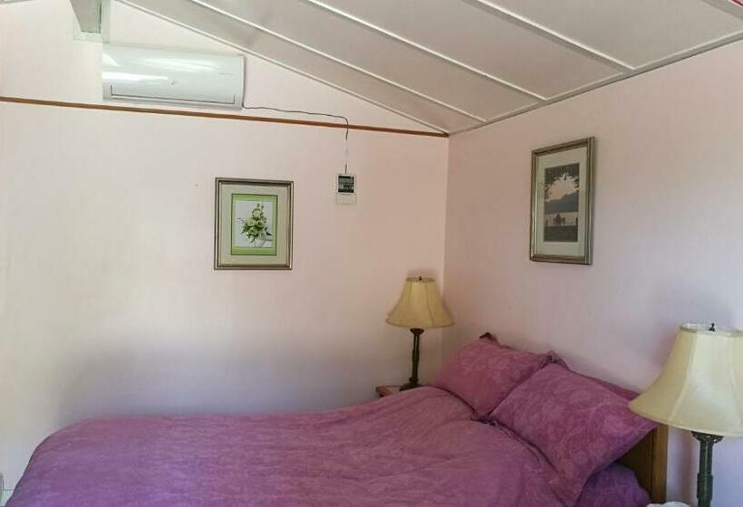 Номер Стандарт, Motel Rideau