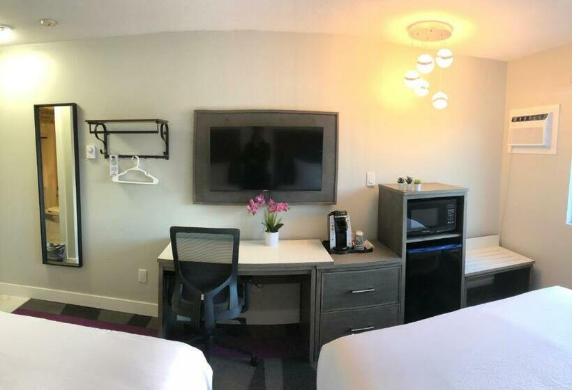 חדר סטנדרט עם מיטת קווין, The Spot At Porpoise Bay