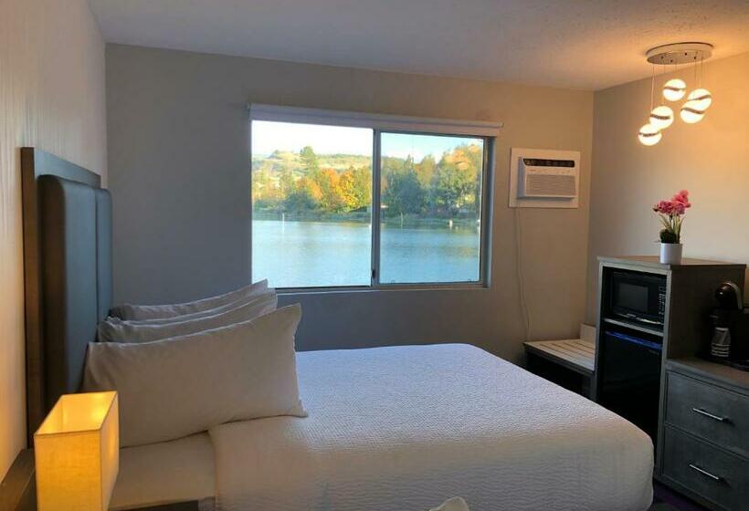 חדר סטנדרט עם מיטת קווין, The Spot At Porpoise Bay