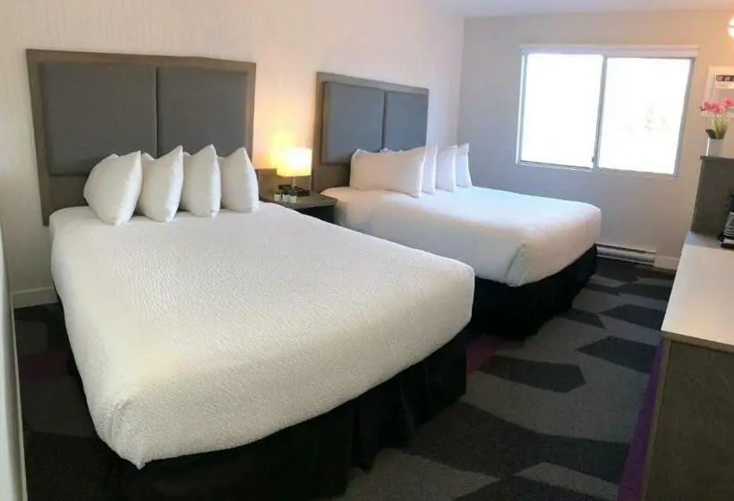 Standard-huone Queen-vuode, The Spot At Porpoise Bay