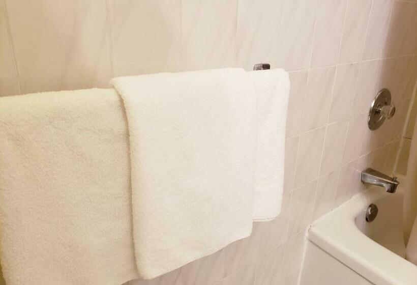 带大床的标准间, Olympia Motel