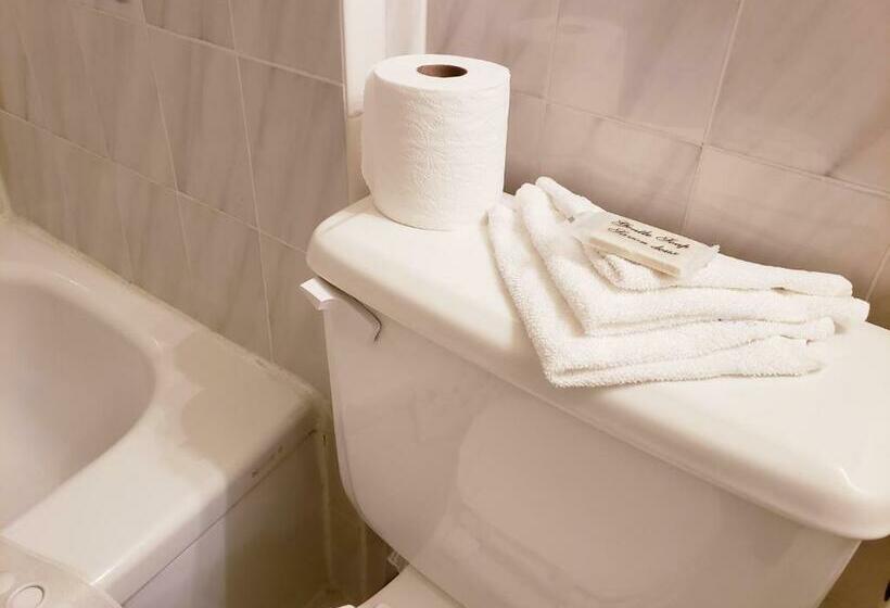 带大床的标准间, Olympia Motel