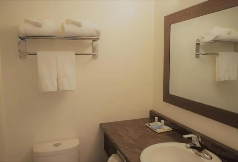 キングサイズベッドのデラックススイート, Western Traveller Motel