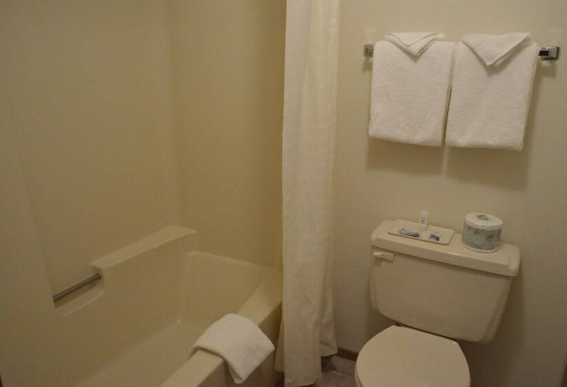 2ダブルベッドのスタンダードルーム, Western Traveller Motel