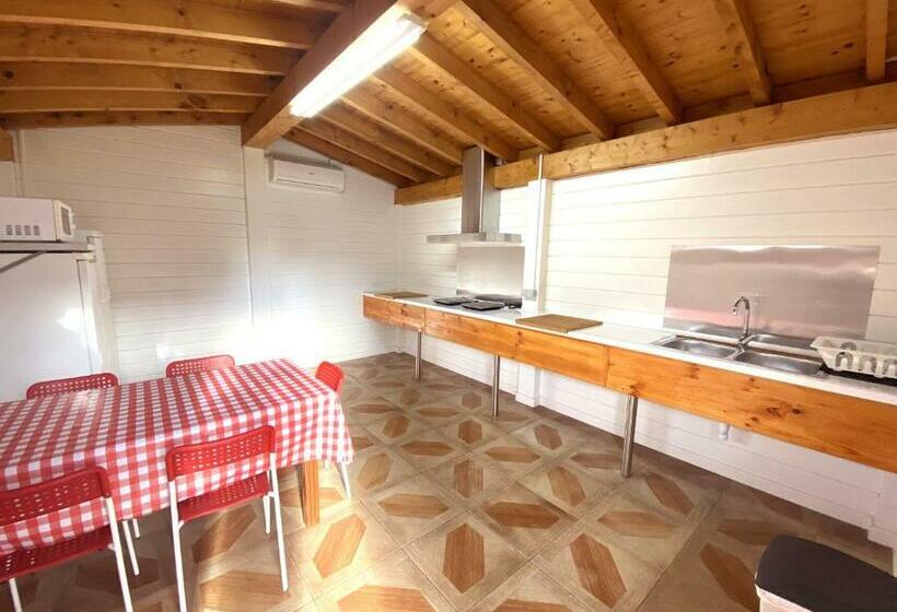 Кровать в Общей Комнате, Hostel Albergue Paradiso