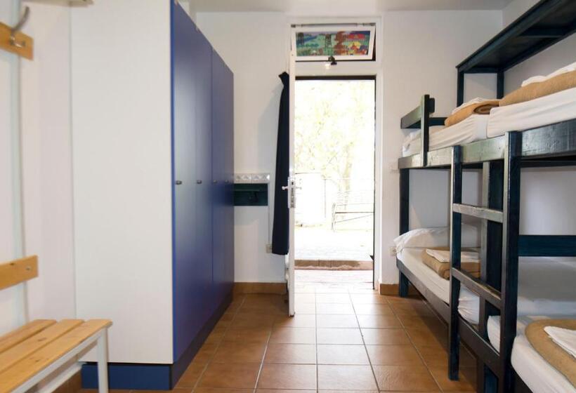 חדר סטנדרט לארבעה, Hostel Albergue Paradiso