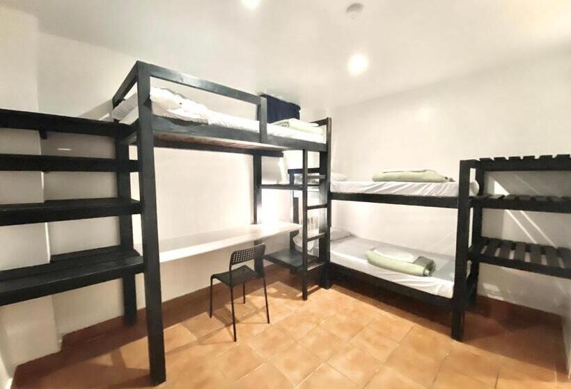 חדר סטנדרט לארבעה, Hostel Albergue Paradiso