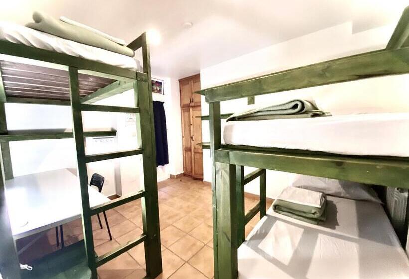 חדר סטנדרט לארבעה, Hostel Albergue Paradiso