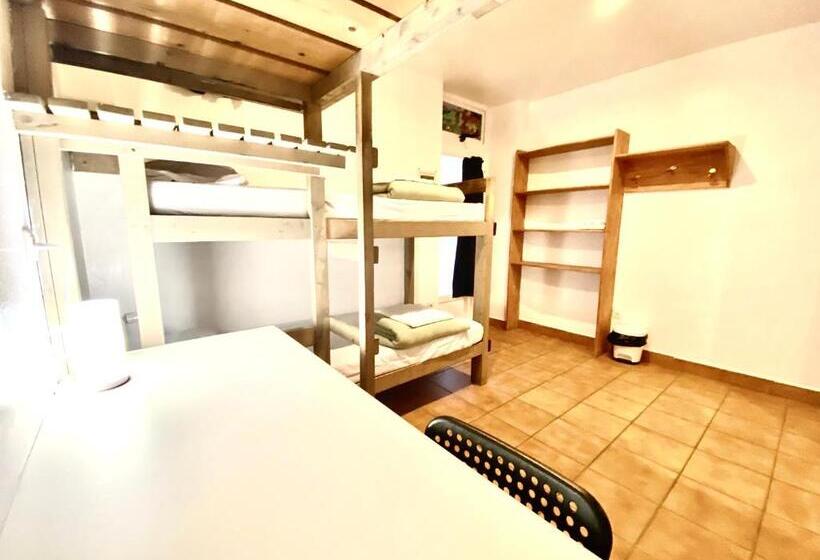 חדר סטנדרט לארבעה, Hostel Albergue Paradiso