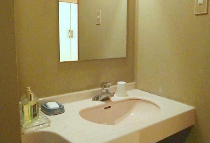 スタンダード４人部屋, Hoshikawakan