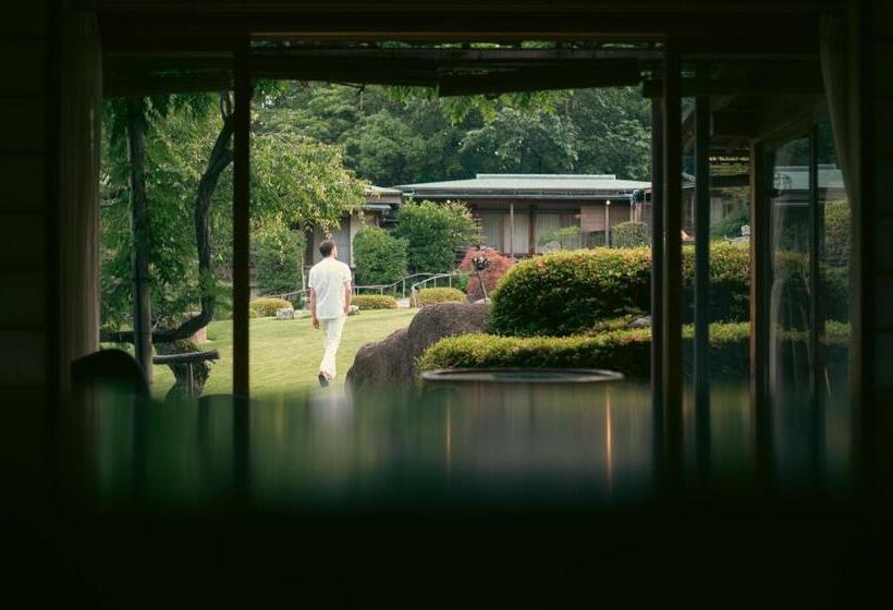 סוויטת ג'וניור, Sekitei