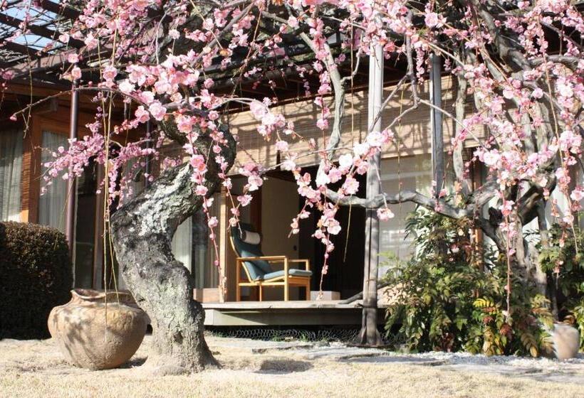 סוויטת ג'וניור, Sekitei