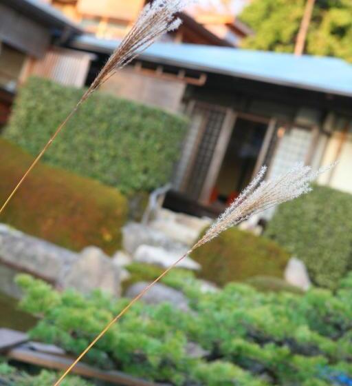 סוויטה אקזקיוטיב, Sekitei