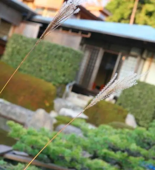 エクゼクティブスイート, Sekitei