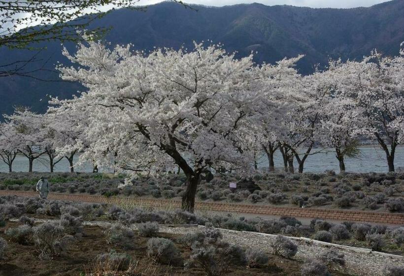 חדר סטנדרט חדר אמבטיה משותף, Togawaso