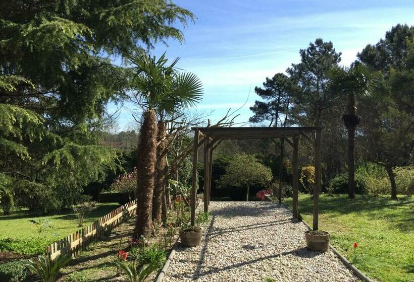 חדר סטנדרט, Agro Da Gandarela