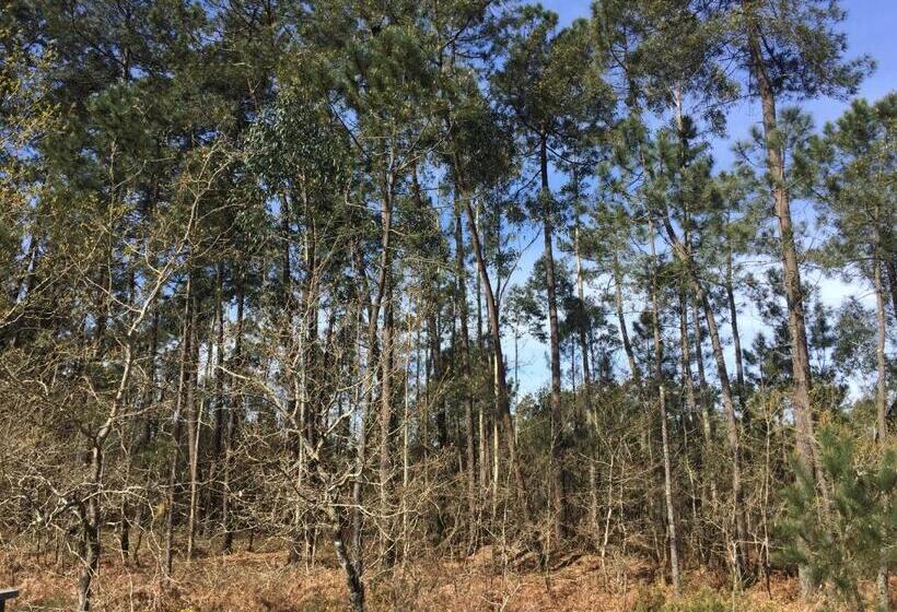 חדר סטנדרט, Agro Da Gandarela