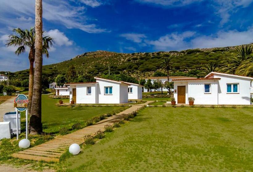 Bungalow Standard, Wawa Tarifa