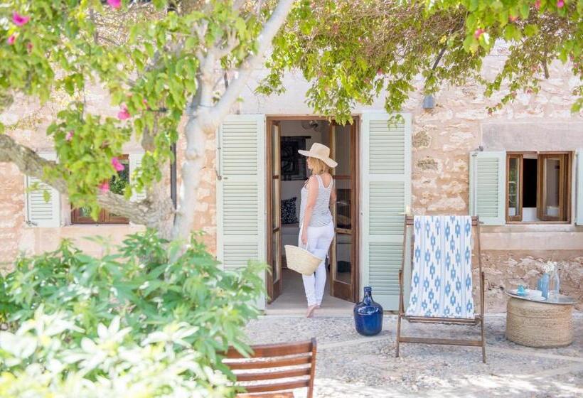 سوئیت 2 خوابه, Cal Reiet Holistic Retreat