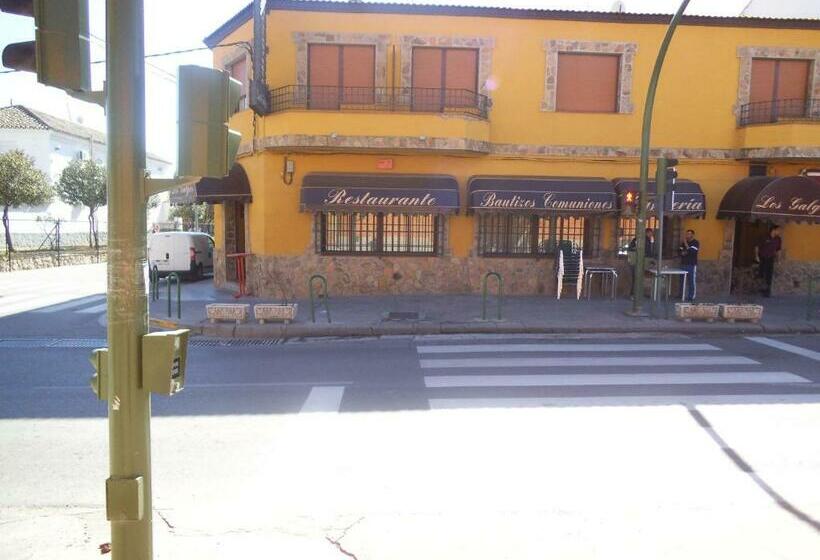 스탠다드 룸, Hostal Los Galgos