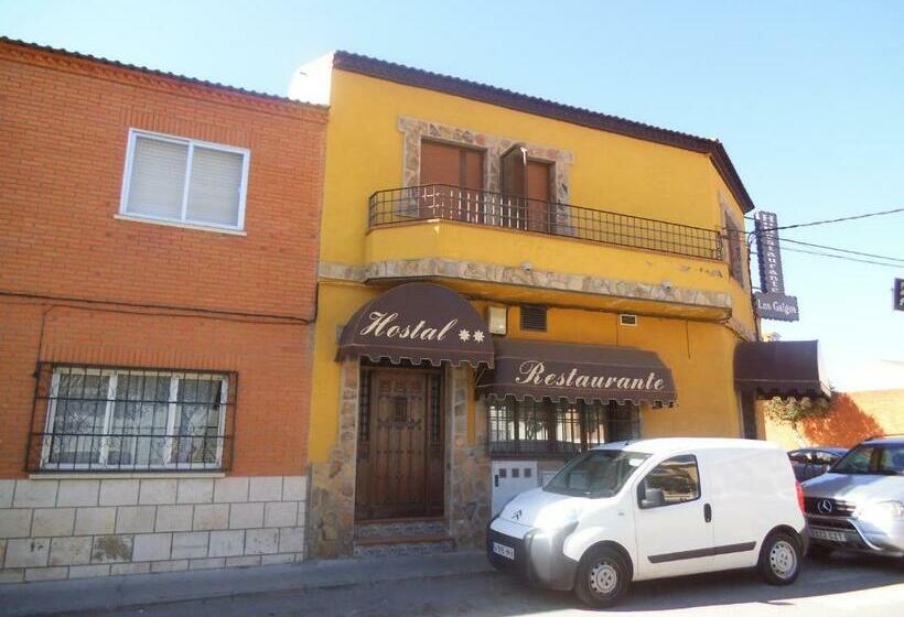 Номер Стандарт, Hostal Los Galgos