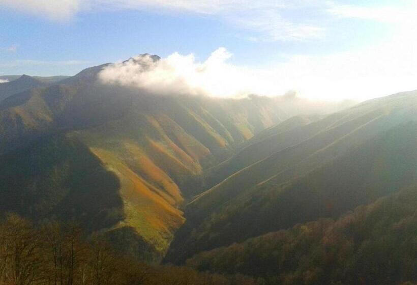 Номер Стандарт, Rural Aribe Irati